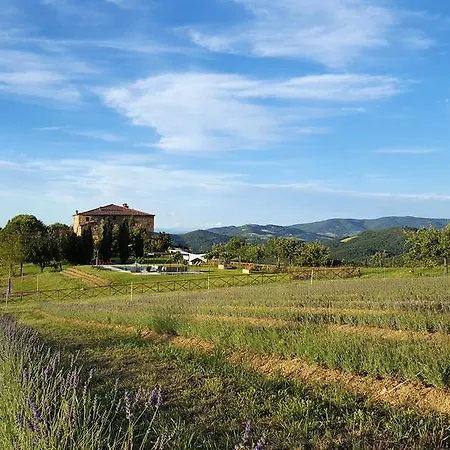 Cugnanello Villa Anqua